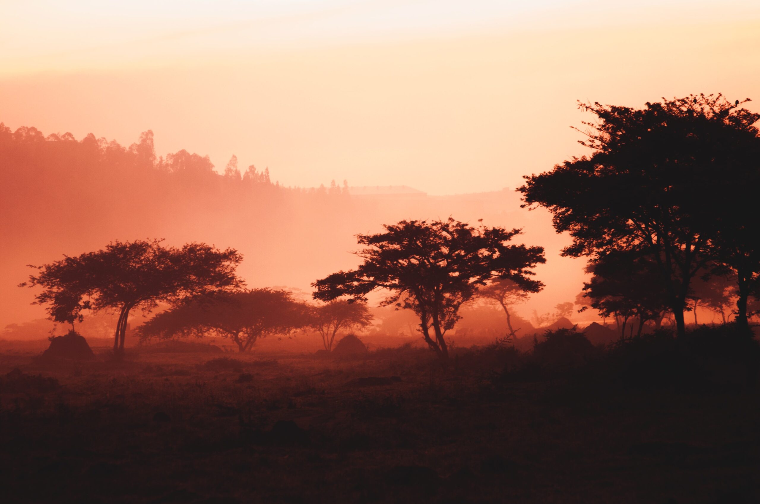 Central Africa